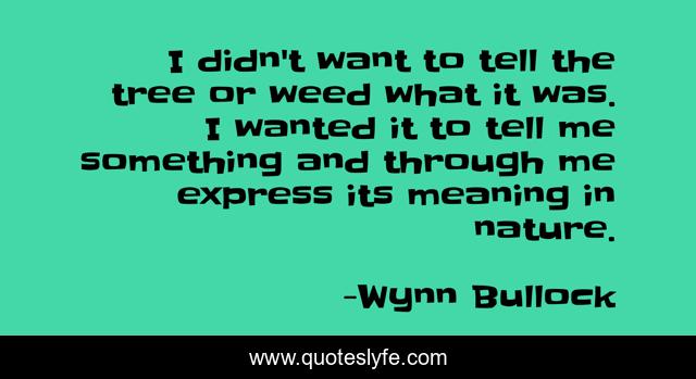 I didn't want to tell the tree or weed what it was. I wanted it to tell me something and through me express its meaning in nature.