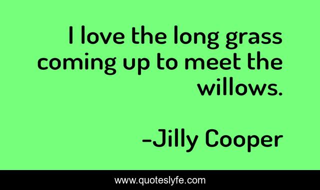 I love the long grass coming up to meet the willows.