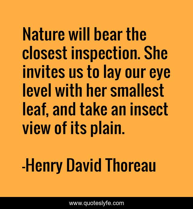 Nature will bear the closest inspection. She invites us to lay our eye level with her smallest leaf, and take an insect view of its plain.