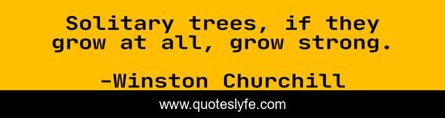 Solitary trees, if they grow at all, grow strong.