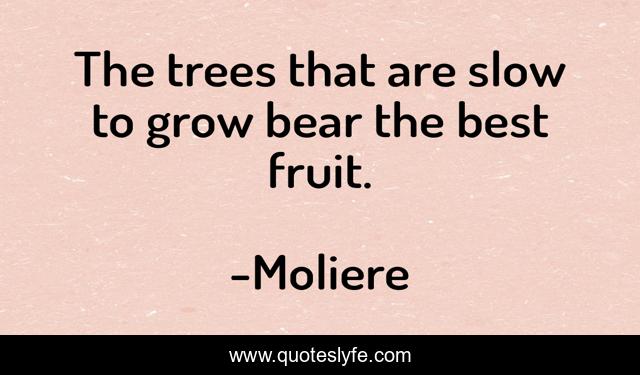 The trees that are slow to grow bear the best fruit.