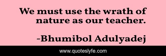 We must use the wrath of nature as our teacher.