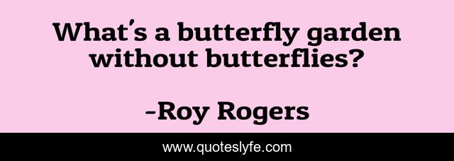 What's a butterfly garden without butterflies?