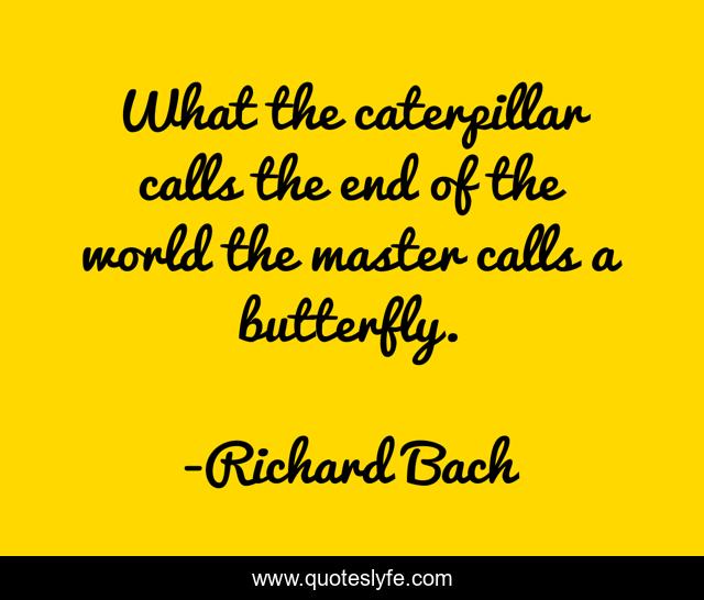 What the caterpillar calls the end of the world the master calls a butterfly.