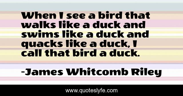 When I see a bird that walks like a duck and swims like a duck and quacks like a duck, I call that bird a duck.