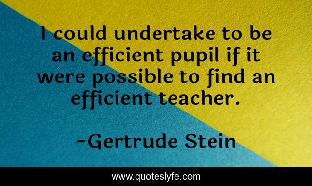 I could undertake to be an efficient pupil if it were possible to find an efficient teacher.