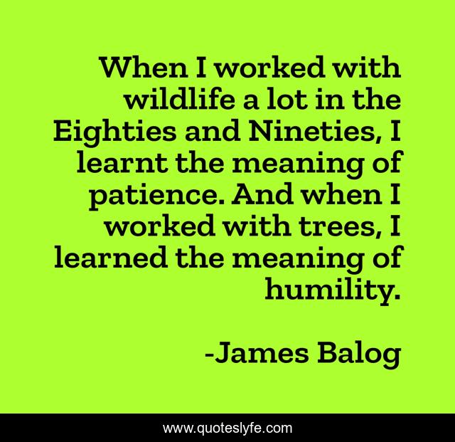When I worked with wildlife a lot in the Eighties and Nineties, I learnt the meaning of patience. And when I worked with trees, I learned the meaning of humility.