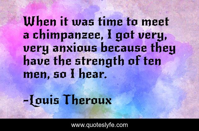 When it was time to meet a chimpanzee, I got very, very anxious because they have the strength of ten men, so I hear.
