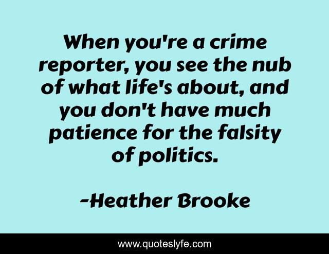 When you're a crime reporter, you see the nub of what life's about, and you don't have much patience for the falsity of politics.
