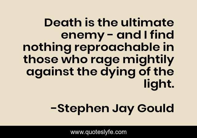 Death is the ultimate enemy - and I find nothing reproachable in those who rage mightily against the dying of the light.