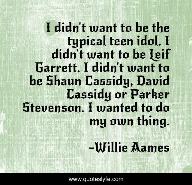 I didn't want to be the typical teen idol. I didn't want to be Leif Garrett. I didn't want to be Shaun Cassidy, David Cassidy or Parker Stevenson. I wanted to do my own thing.