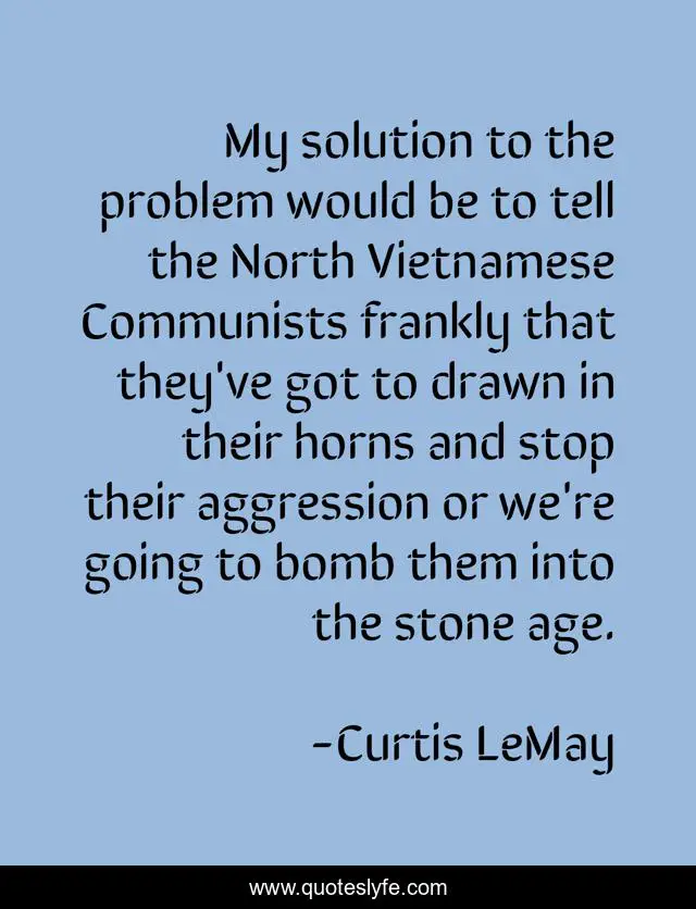 My solution to the problem would be to tell the North Vietnamese Communists frankly that they've got to drawn in their horns and stop their aggression or we're going to bomb them into the stone age.