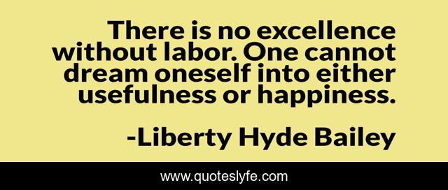 There is no excellence without labor. One cannot dream oneself into either usefulness or happiness.