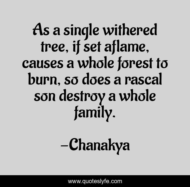 As a single withered tree, if set aflame, causes a whole forest to burn, so does a rascal son destroy a whole family.