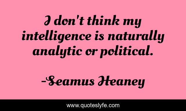 I don't think my intelligence is naturally analytic or political.