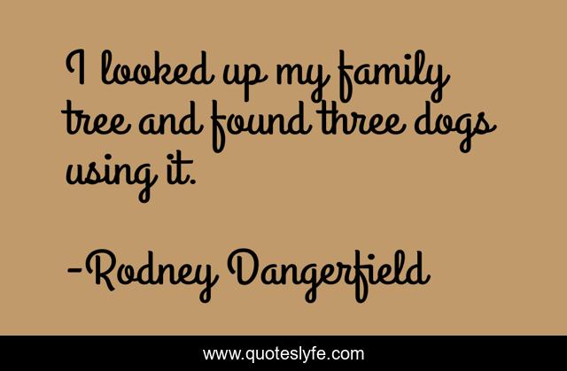 I looked up my family tree and found three dogs using it.