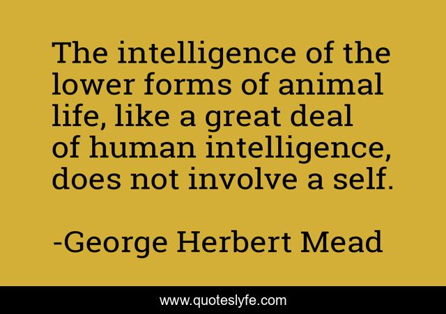 The intelligence of the lower forms of animal life, like a great deal of human intelligence, does not involve a self.
