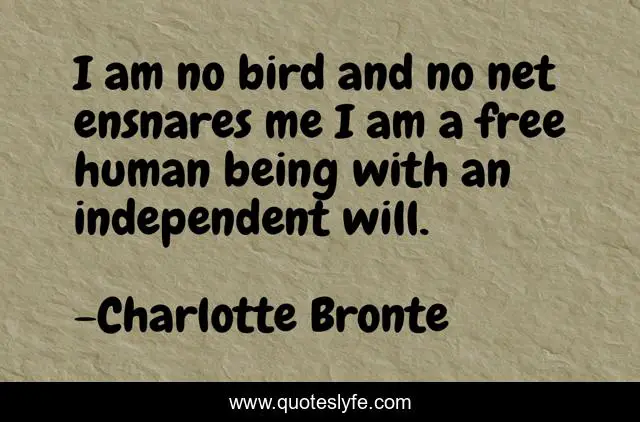 I am no bird and no net ensnares me I am a free human being with an independent will.