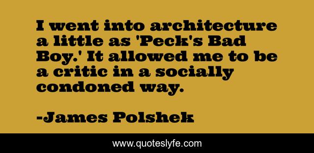 I went into architecture a little as 'Peck's Bad Boy.' It allowed me to be a critic in a socially condoned way.