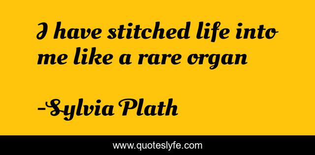 I have stitched life into me like a rare organ