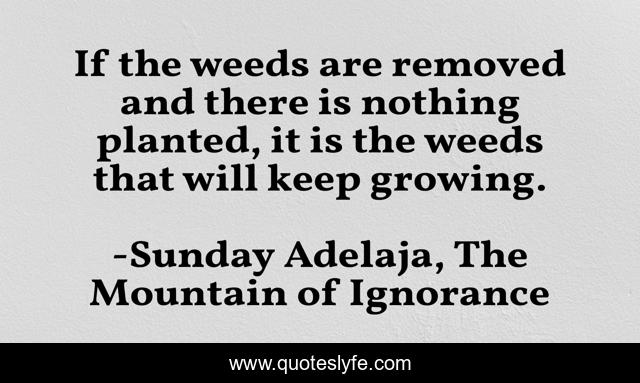 If the weeds are removed and there is nothing planted, it is the weeds that will keep growing.