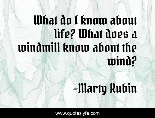 What do I know about life? What does a windmill know about the wind?