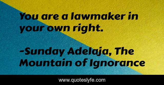 You are a lawmaker in your own right.