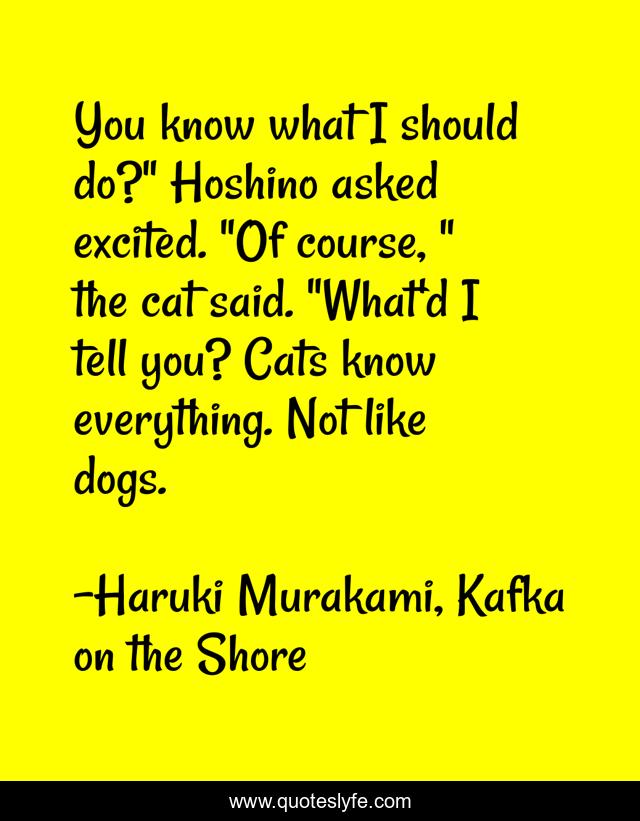 You know what I should do?