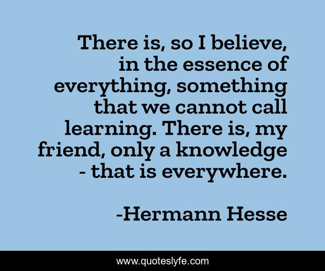 There is, so I believe, in the essence of everything, something that we cannot call learning. There is, my friend, only a knowledge - that is everywhere.