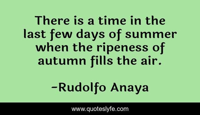 There is a time in the last few days of summer when the ripeness of autumn fills the air.