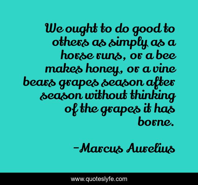We ought to do good to others as simply as a horse runs, or a bee makes honey, or a vine bears grapes season after season without thinking of the grapes it has borne.