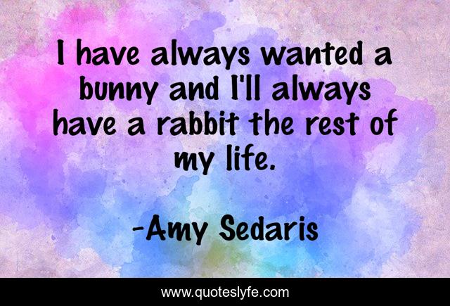 I have always wanted a bunny and I'll always have a rabbit the rest of my life.