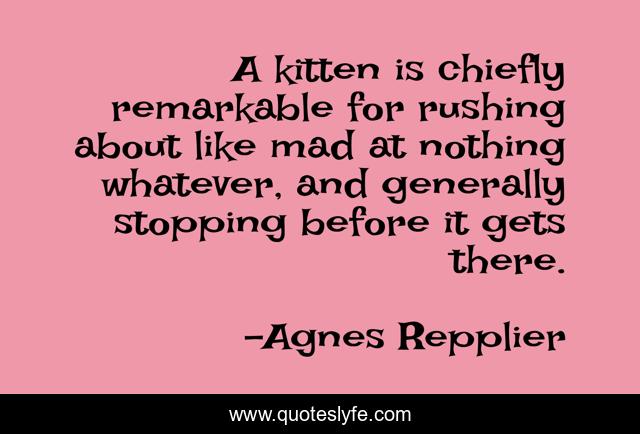 A kitten is chiefly remarkable for rushing about like mad at nothing whatever, and generally stopping before it gets there.