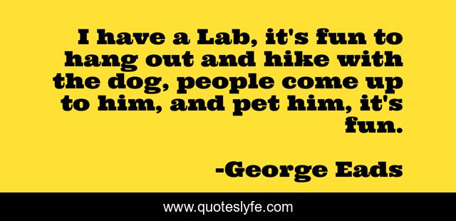 I have a Lab, it's fun to hang out and hike with the dog, people come up to him, and pet him, it's fun.