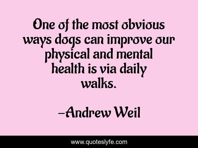One of the most obvious ways dogs can improve our physical and mental health is via daily walks.