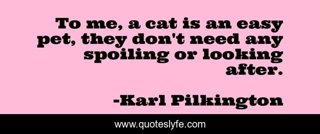 To me, a cat is an easy pet, they don't need any spoiling or looking after.