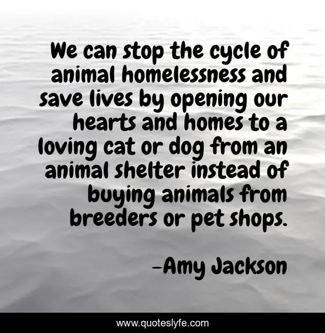 We can stop the cycle of animal homelessness and save lives by opening our hearts and homes to a loving cat or dog from an animal shelter instead of buying animals from breeders or pet shops.
