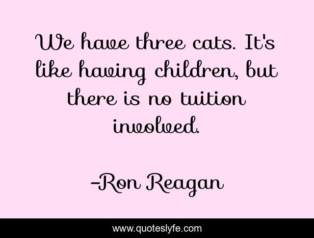We have three cats. It's like having children, but there is no tuition involved.