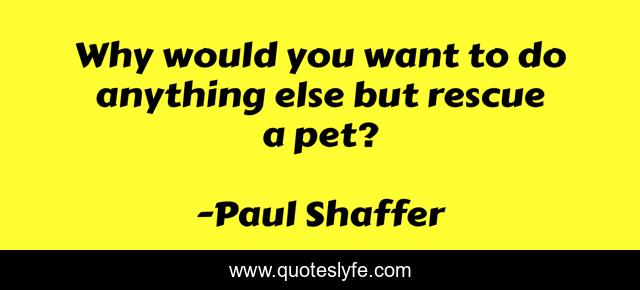 Why would you want to do anything else but rescue a pet?