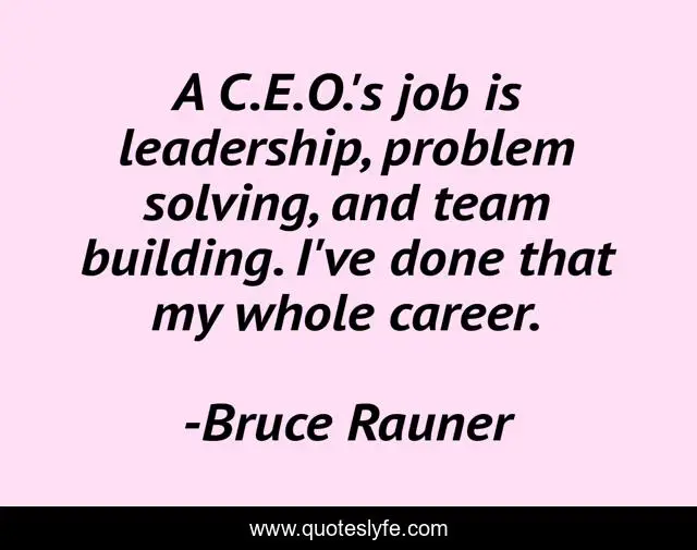 A C.E.O.'s job is leadership, problem solving, and team building. I've done that my whole career.