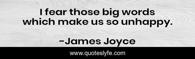 I fear those big words which make us so unhappy.