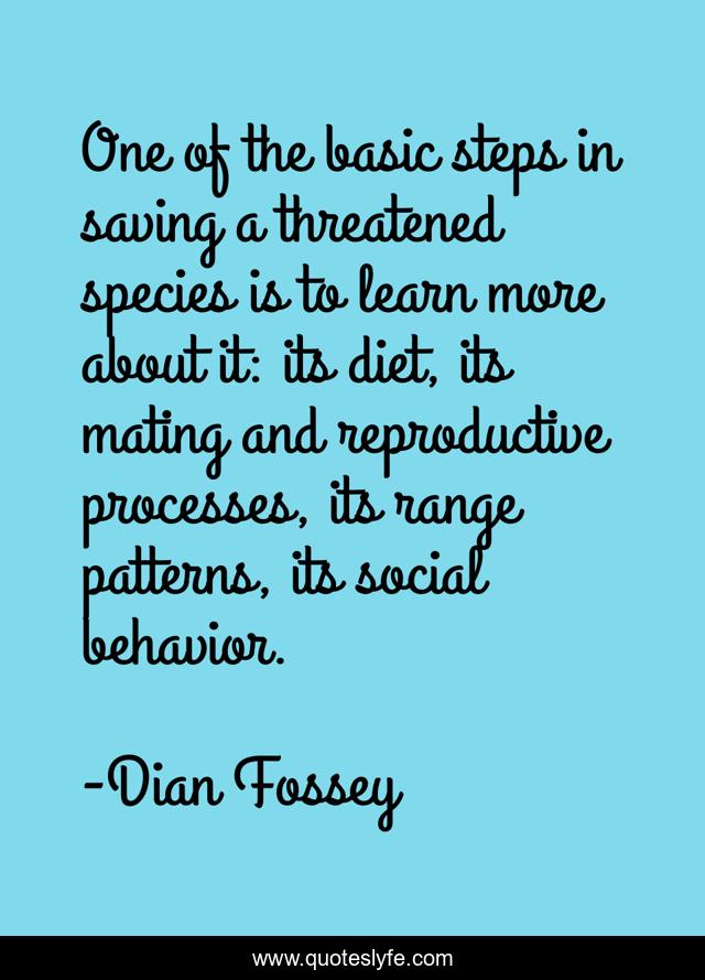 One of the basic steps in saving a threatened species is to learn more about it: its diet, its mating and reproductive processes, its range patterns, its social behavior.