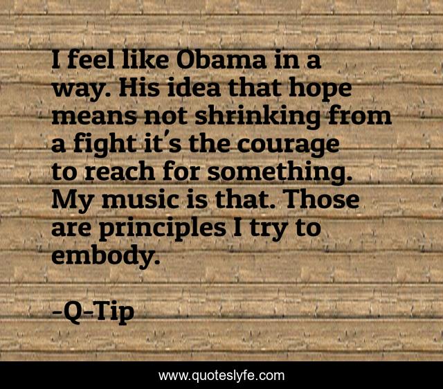 I feel like Obama in a way. His idea that hope means not shrinking from a fight it's the courage to reach for something. My music is that. Those are principles I try to embody.