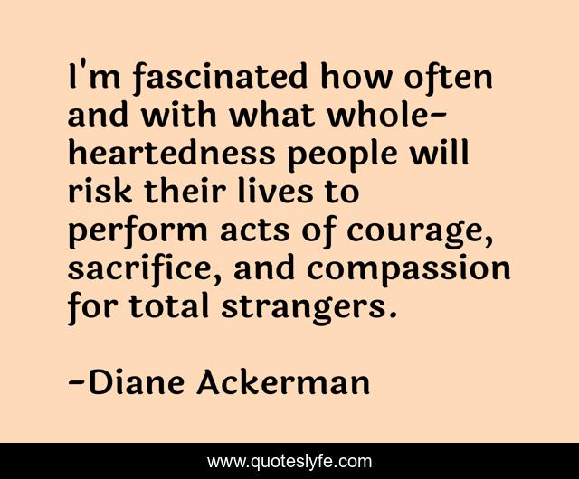 I'm fascinated how often and with what whole-heartedness people will risk their lives to perform acts of courage, sacrifice, and compassion for total strangers.