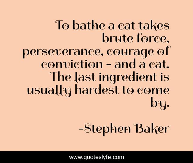 To bathe a cat takes brute force, perseverance, courage of conviction - and a cat. The last ingredient is usually hardest to come by.