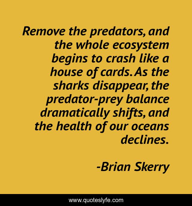 Remove the predators, and the whole ecosystem begins to crash like a house of cards. As the sharks disappear, the predator-prey balance dramatically shifts, and the health of our oceans declines.
