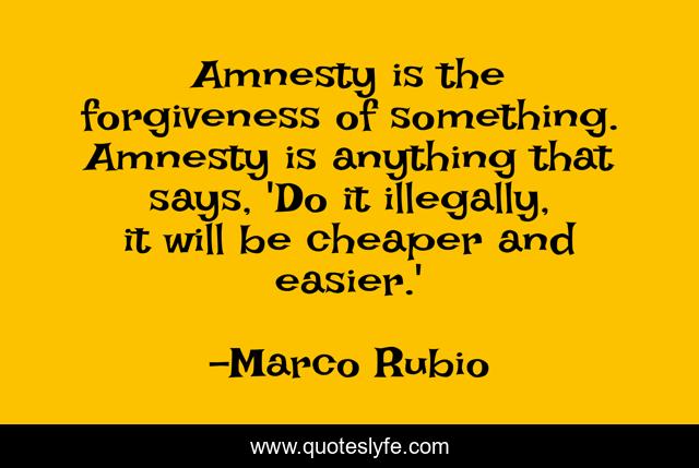 Amnesty is the forgiveness of something. Amnesty is anything that says, 'Do it illegally, it will be cheaper and easier.'