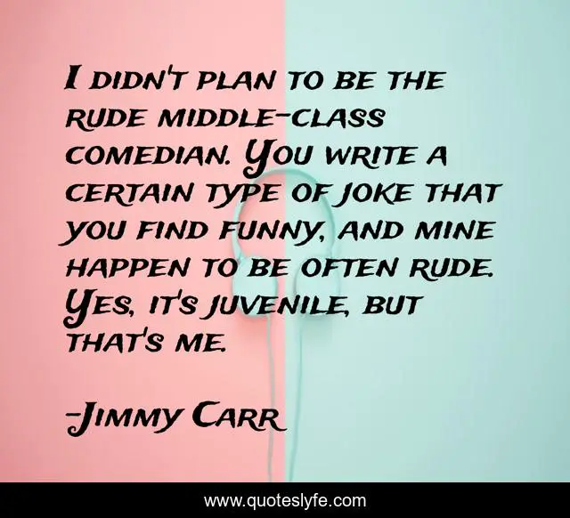 I didn't plan to be the rude middle-class comedian. You write a certain type of joke that you find funny, and mine happen to be often rude. Yes, it's juvenile, but that's me.