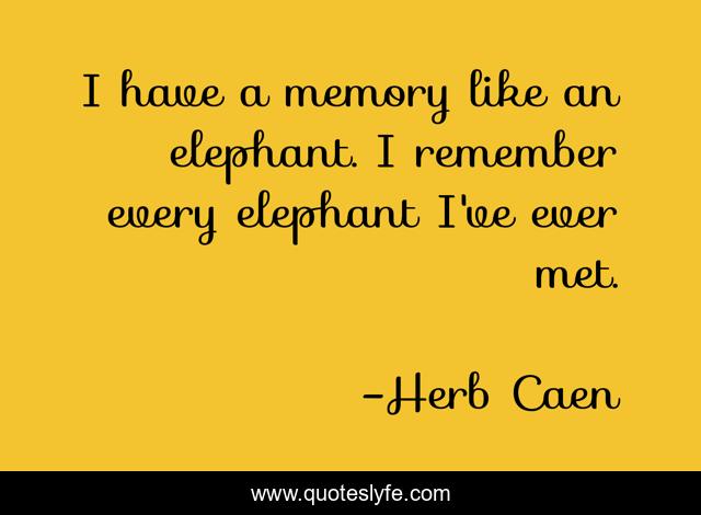 I have a memory like an elephant. I remember every elephant I've ever met.