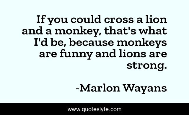 If you could cross a lion and a monkey, that's what I'd be, because monkeys are funny and lions are strong.